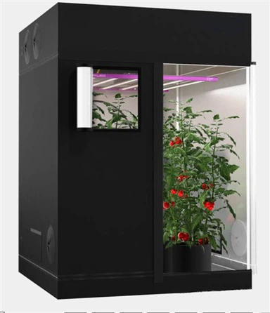 Muag Muag Khoom Zoo Tshaj Plaws