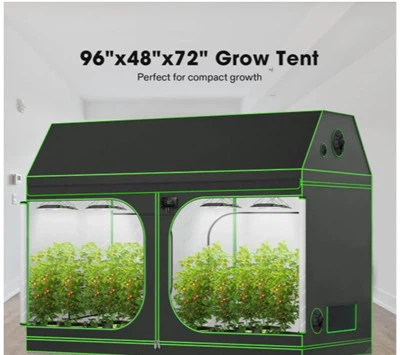 Ru tsev loj hlob tsev pheebsuab