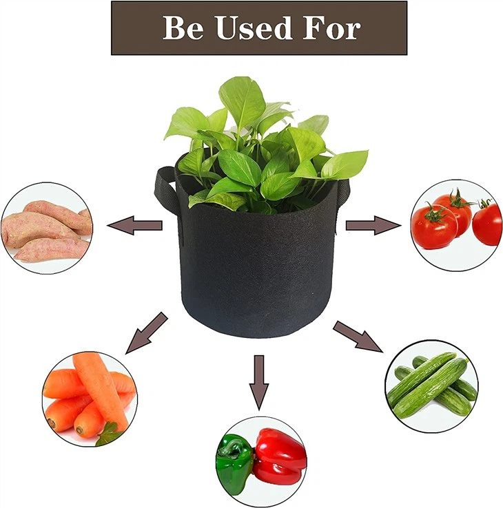 5 Gallon Fabric Plant Grow Bag